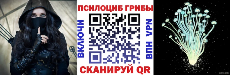 Псилоцибиновые грибы прущие грибы  Купить  Сегежа 